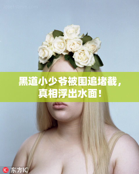 黑道小少爷被围追堵截，真相浮出水面！