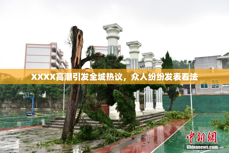 XXXX高潮引发全城热议，众人纷纷发表看法