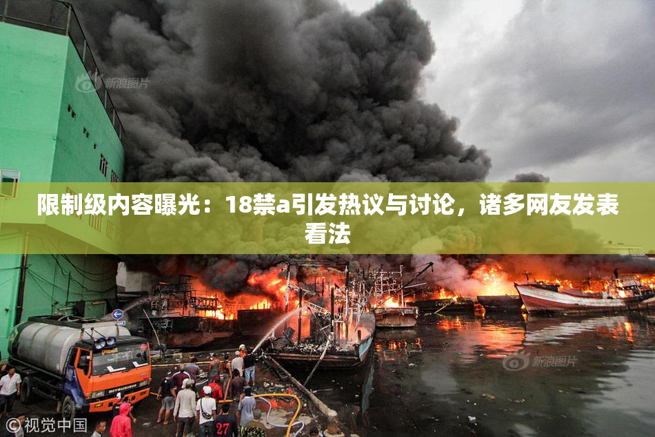 限制级内容曝光：18禁a引发热议与讨论，诸多网友发表看法