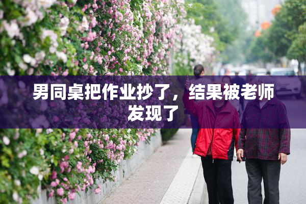 男同桌把作业抄了，结果被老师发现了