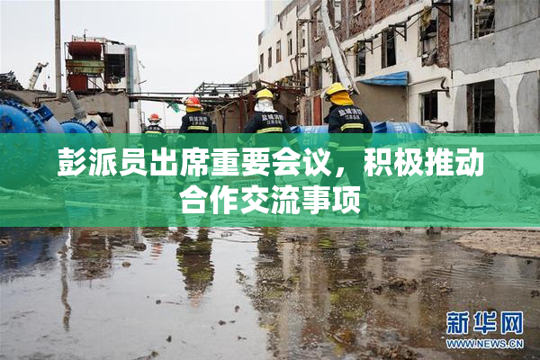 彭派员出席重要会议，积极推动合作交流事项