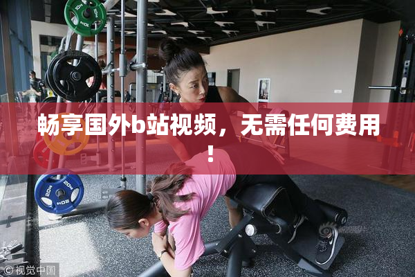 畅享国外b站视频，无需任何费用！