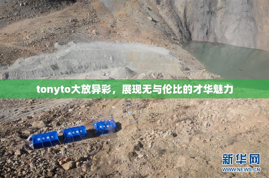 tonyto大放异彩，展现无与伦比的才华魅力