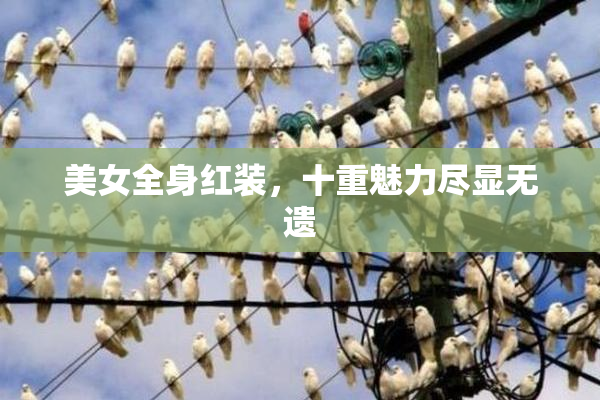 美女全身红装，十重魅力尽显无遗