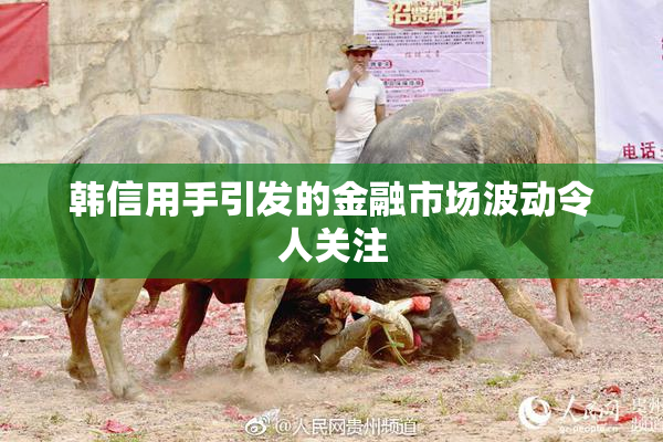 韩信用手引发的金融市场波动令人关注