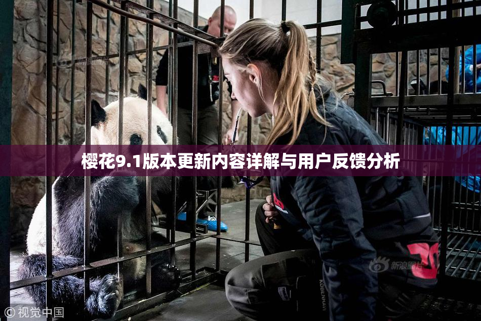 樱花9.1版本更新内容详解与用户反馈分析