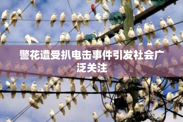 警花遭受扒电击事件引发社会广泛关注