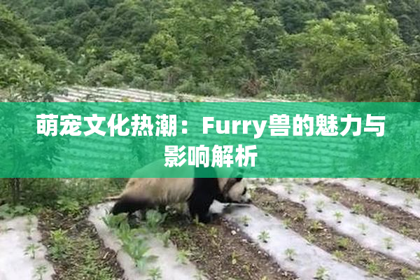 萌宠文化热潮：Furry兽的魅力与影响解析