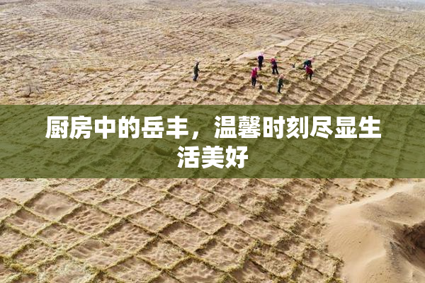 厨房中的岳丰，温馨时刻尽显生活美好
