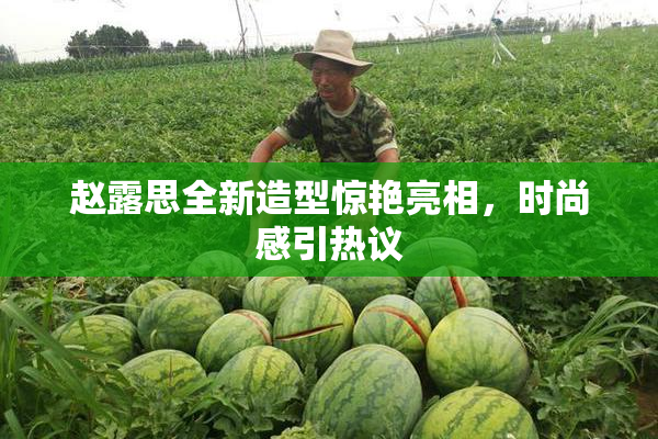 赵露思全新造型惊艳亮相，时尚感引热议