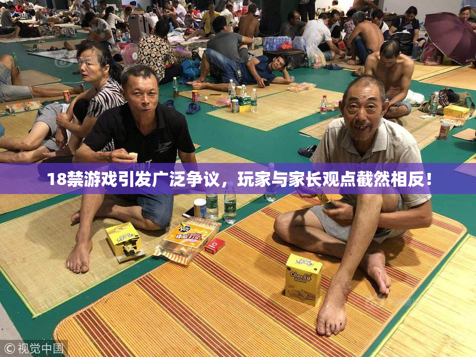 18禁游戏引发广泛争议，玩家与家长观点截然相反！