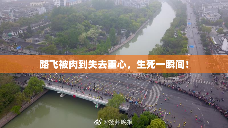 路飞被肉到失去重心，生死一瞬间！