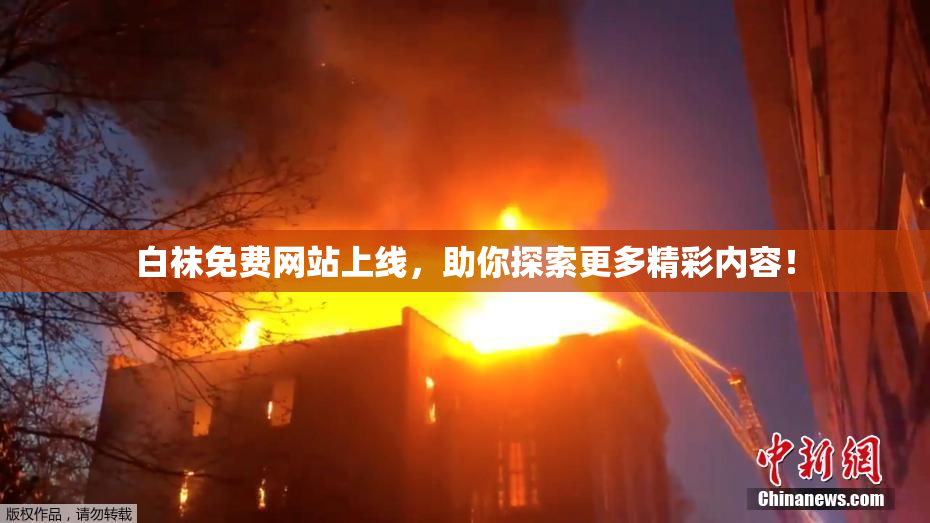 白袜免费网站上线，助你探索更多精彩内容！