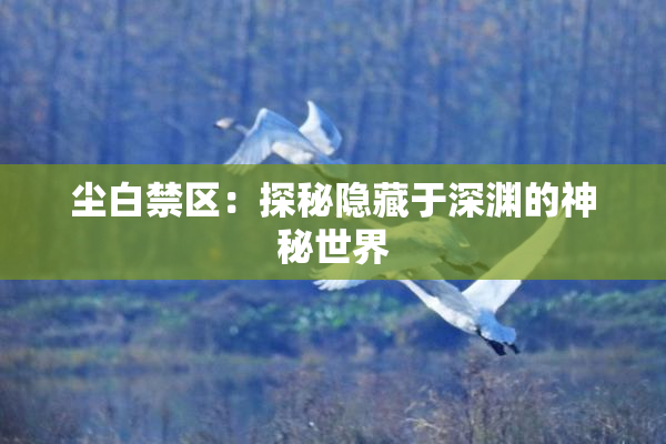 尘白禁区：探秘隐藏于深渊的神秘世界
