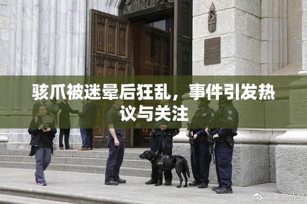 骇爪被迷晕后狂乱，事件引发热议与关注