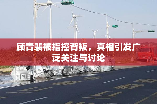 顾青裴被指控背叛，真相引发广泛关注与讨论