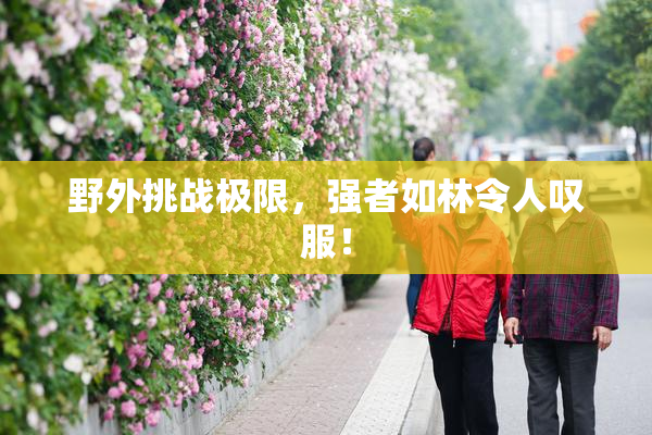 野外挑战极限，强者如林令人叹服！
