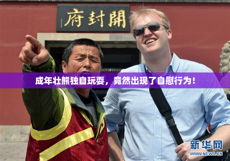 成年壮熊独自玩耍，竟然出现了自慰行为！