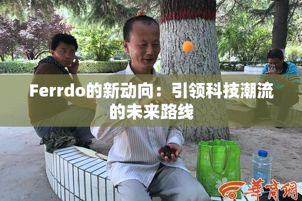 Ferrdo的新动向：引领科技潮流的未来路线