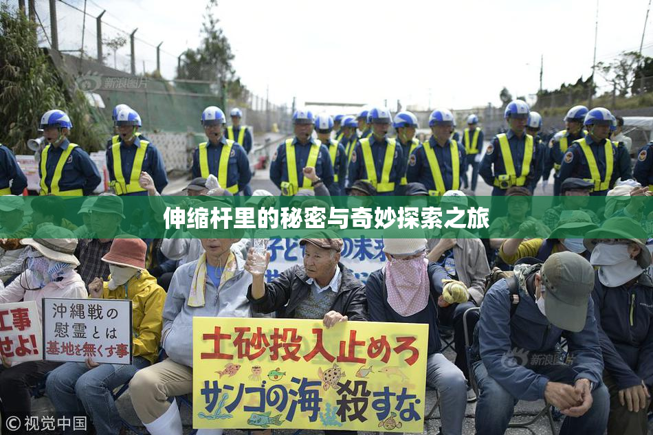 伸缩杆里的秘密与奇妙探索之旅