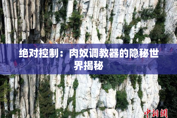 绝对控制：肉奴调教器的隐秘世界揭秘