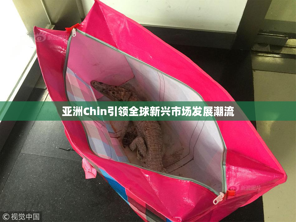 亚洲Chin引领全球新兴市场发展潮流