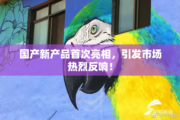 国产新产品首次亮相，引发市场热烈反响！