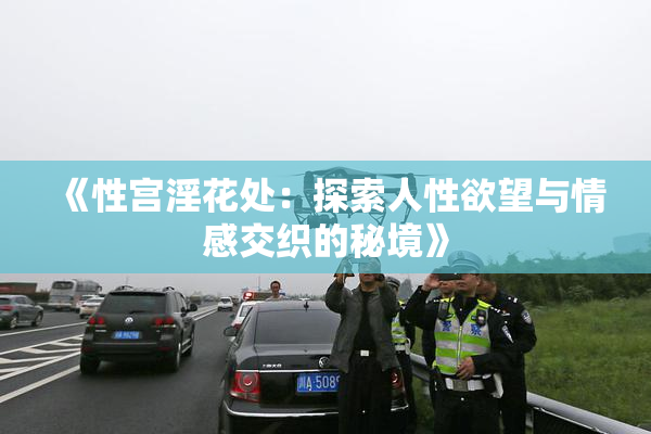 《性宫淫花处：探索人性欲望与情感交织的秘境》