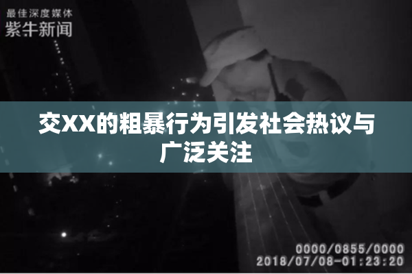 交XX的粗暴行为引发社会热议与广泛关注