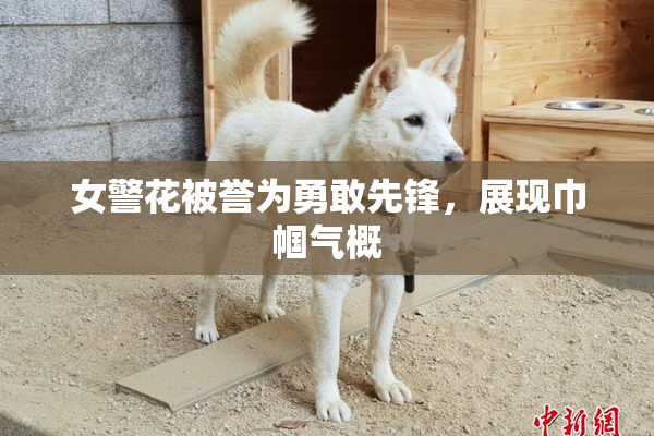 女警花被誉为勇敢先锋，展现巾帼气概