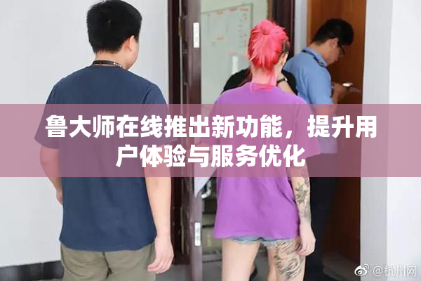 鲁大师在线推出新功能，提升用户体验与服务优化