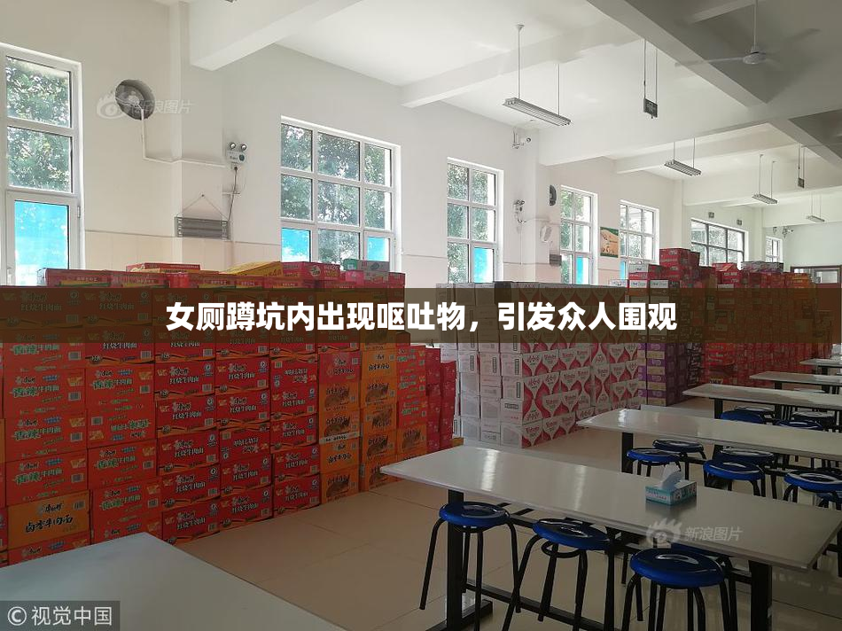 女厕蹲坑内出现呕吐物，引发众人围观