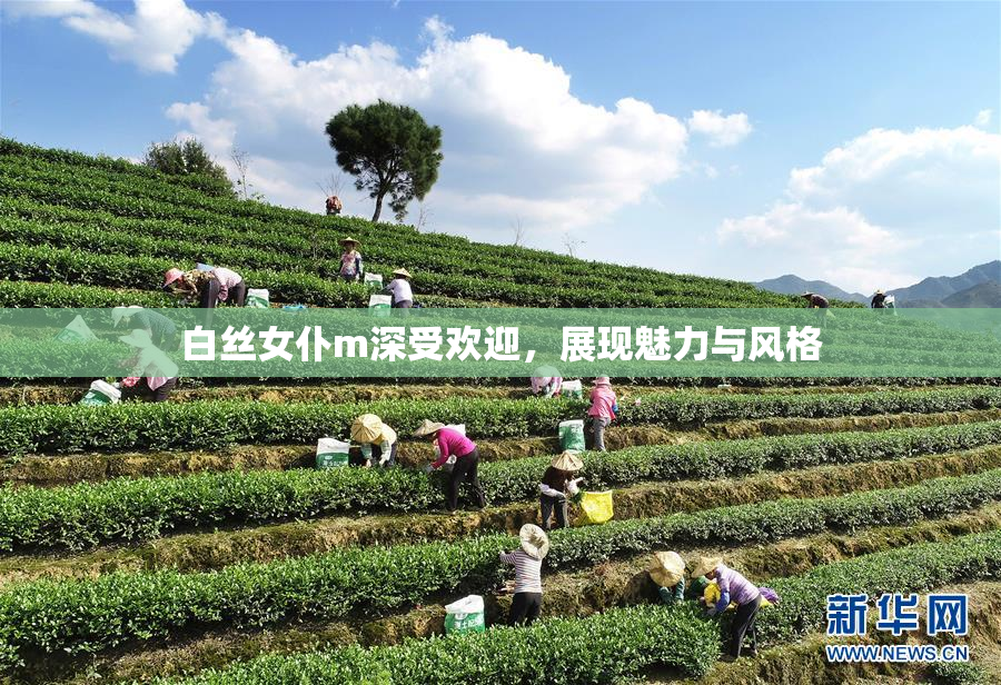 白丝女仆m深受欢迎，展现魅力与风格