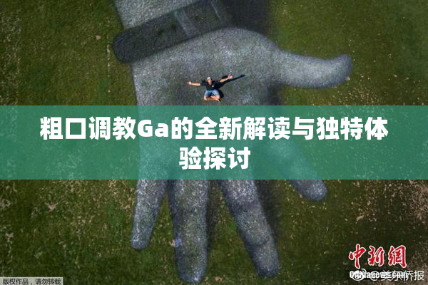 粗口调教Ga的全新解读与独特体验探讨