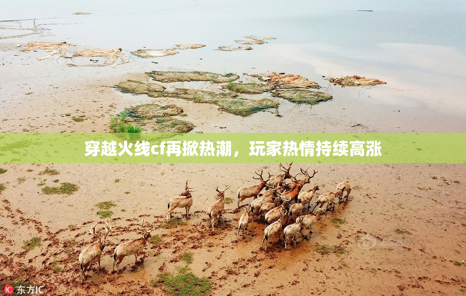 穿越火线cf再掀热潮，玩家热情持续高涨