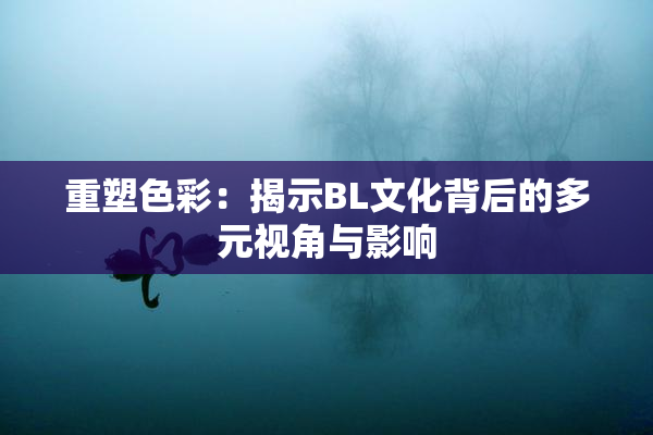 重塑色彩：揭示BL文化背后的多元视角与影响