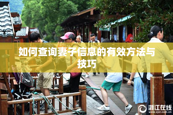 如何查询妻子信息的有效方法与技巧