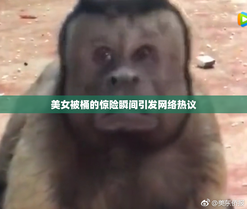 美女被桶的惊险瞬间引发网络热议