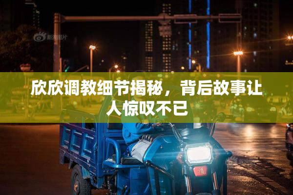 欣欣调教细节揭秘，背后故事让人惊叹不已