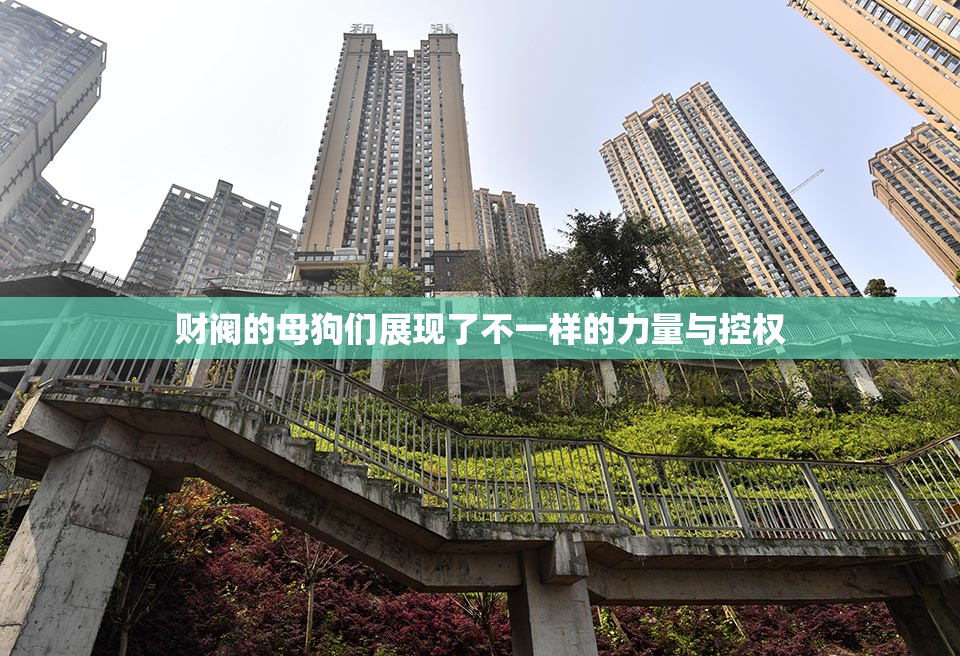财阀的母狗们展现了不一样的力量与控权