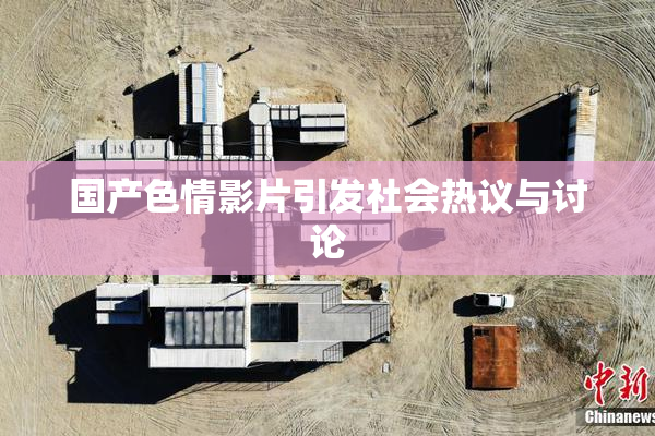 国产色情影片引发社会热议与讨论