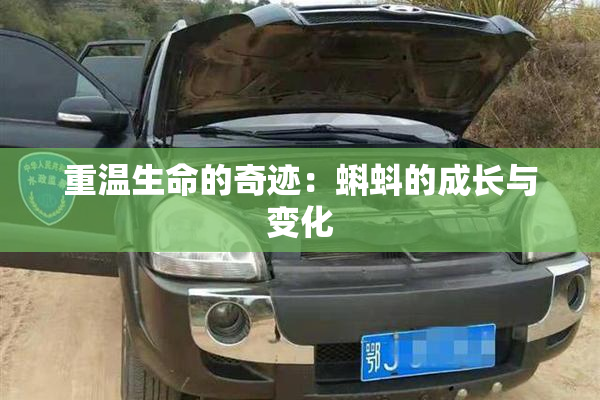 重温生命的奇迹：蝌蚪的成长与变化