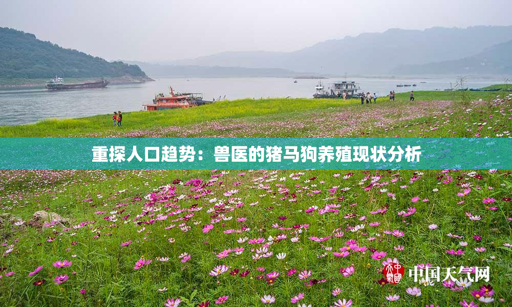重探人口趋势：兽医的猪马狗养殖现状分析