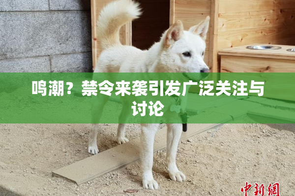 鸣潮？禁令来袭引发广泛关注与讨论