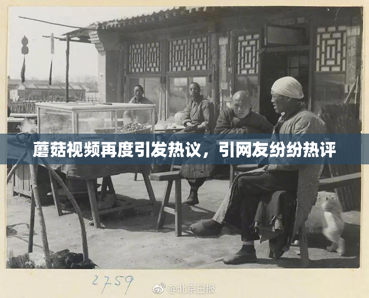 蘑菇视频再度引发热议，引网友纷纷热评