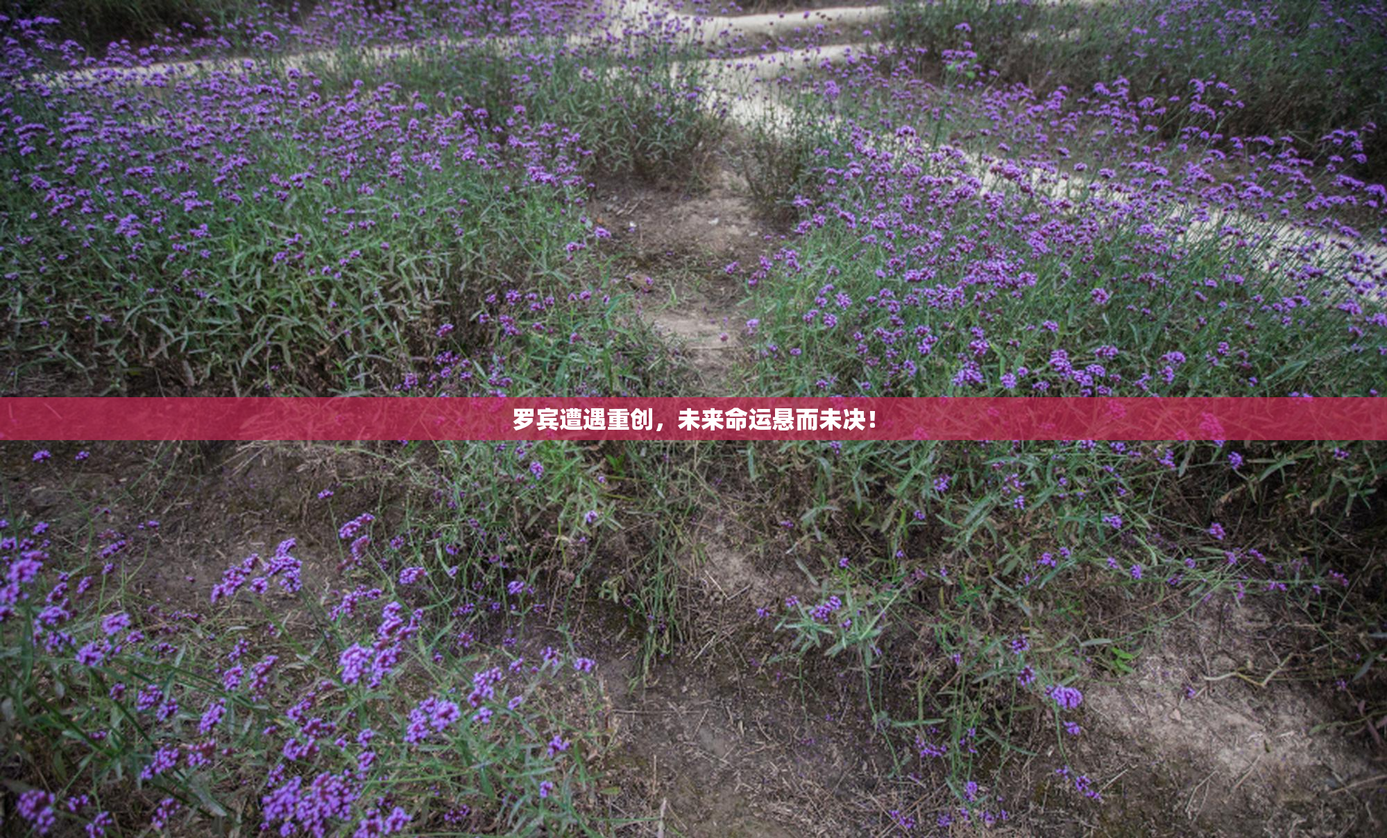罗宾遭遇重创，未来命运悬而未决！