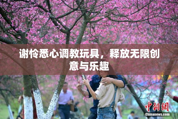 谢怜悉心调教玩具，释放无限创意与乐趣