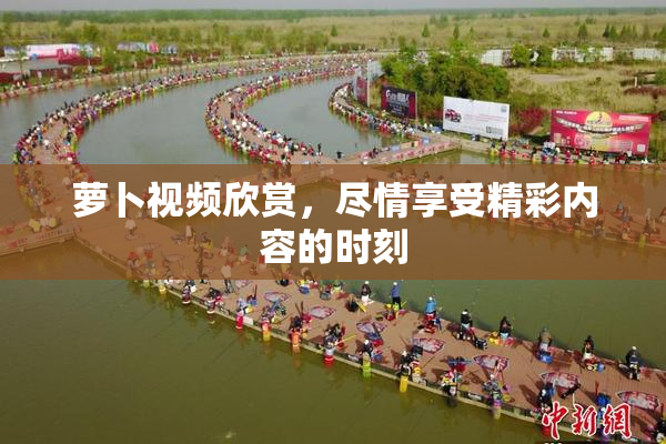 萝卜视频欣赏，尽情享受精彩内容的时刻