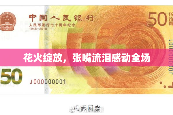花火绽放，张嘴流泪感动全场
