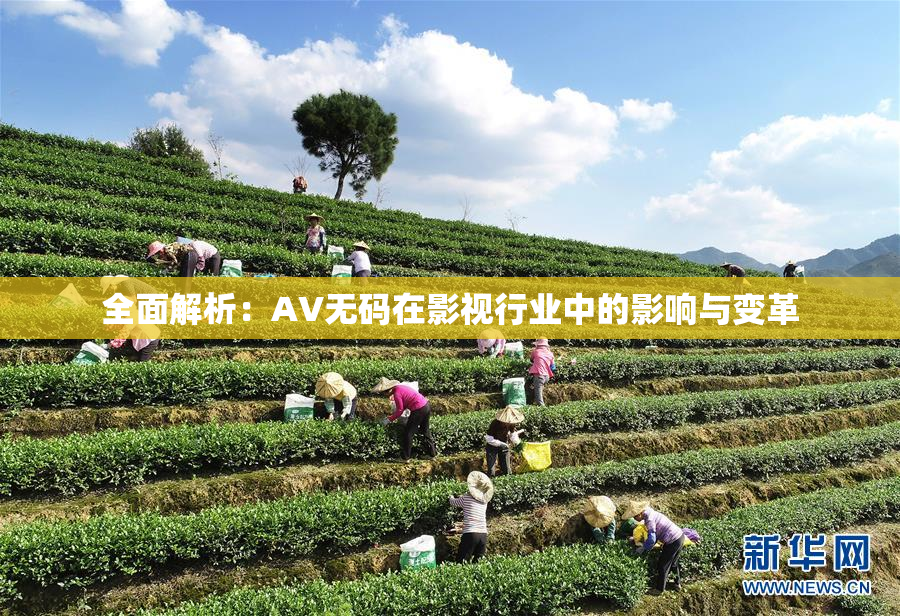 全面解析：AV无码在影视行业中的影响与变革